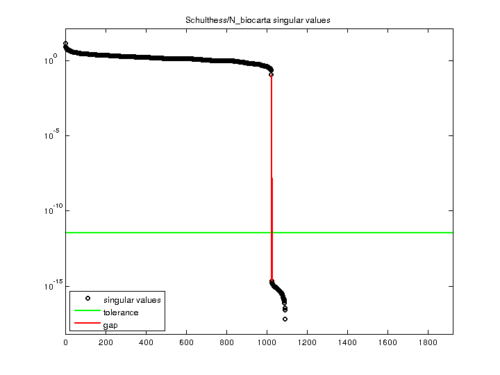 Schulthess/N_biocarta svd