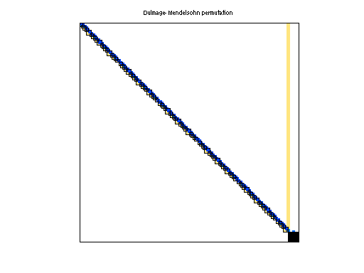 dmperm of TSOPF/TSOPF_RS_b300_c1