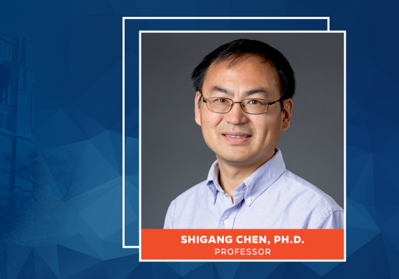 Shigang Chen, Ph.D.