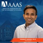 Mishra Named AAAS Fellow